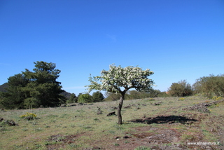 nte Egitto-29-04-2023 08-37-28